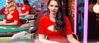 MMKJill ပေးဆောင်သော Sportsbook နှင့် Live Casino ဝန်ဆောင်မှုများ